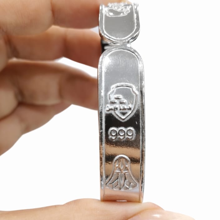 سبيكة فضة عيار 999 من مركز الملاذ الآمن - Safe Haven Hub