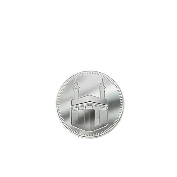 جنيه فضة عيار 925 من مركز الملاذ الآمن - Safe Haven Hub